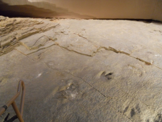 A different view of the footprints.