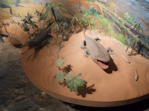 The diorama surrounding the tracks has life size models of prehistoric crocodilians.