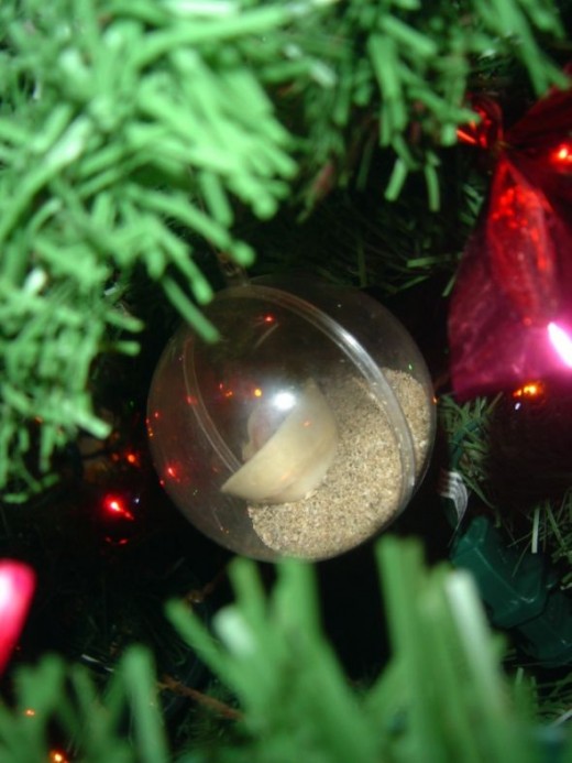 DIY Christmas Ornament Ideas - Sand and Shell