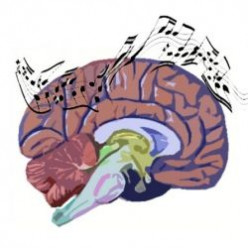 Do We All Have a Musical Brain?