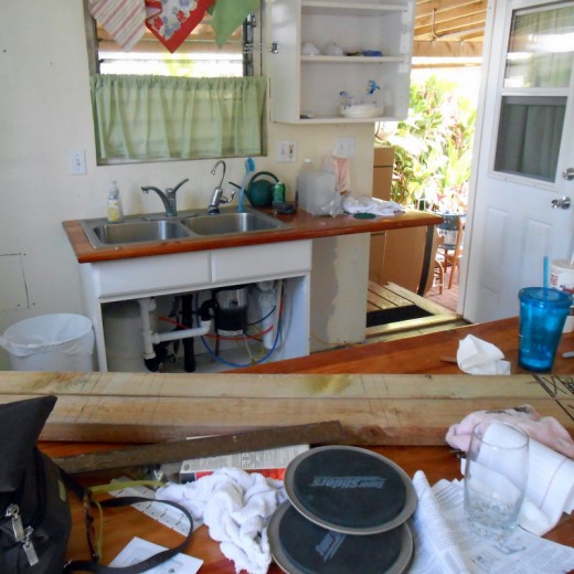 Kitchen deconstruction. What a mess!