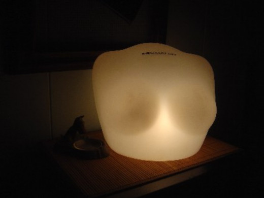 Vintage Lighted Bra Display Lamp