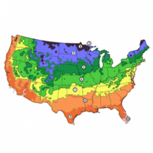 USDA Zone 5 Gardening HubPages