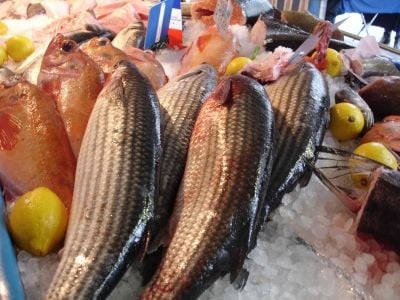 Fish at Fontainebleau's Market