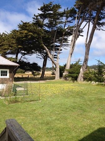 Grounds from caretaker museum back porch - Yellow daisies blanketed the grass on the day we were there