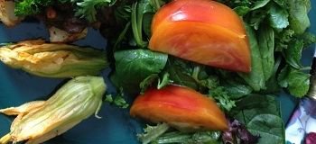 Heirloom tomatoes, squash blossoms and tossed greens salad