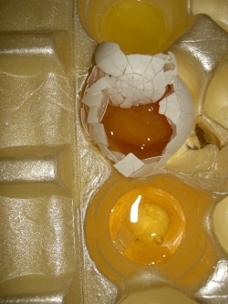 Broken eggs in carton