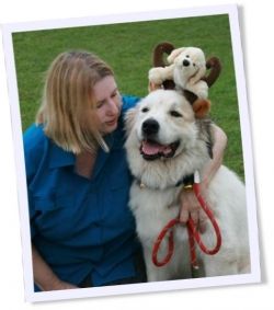 VSimmons-Great-Pyrenees-Waco-the-Wonder-Dog