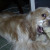 No, you cannot have my bone.