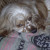 Riley at rest.