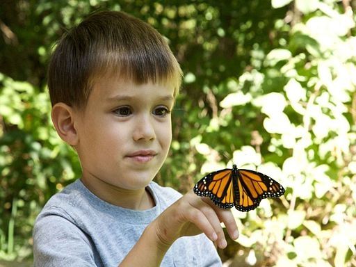 Child with butterfly
