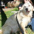 Zena - Beautiful 7 year old girl who lost her family due to their health problesm. Zena is kind, tolerant, fun, and loving.