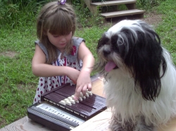 Outdoor-concert-with-Teddy-Shih-Tsu-2003copyright-Vikk-Simmons
