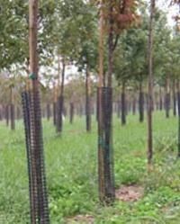 Tree Bark Protectors