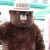Smokey the Bear was there to meet everyone.