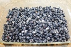 Blueberry crisp - Arranging Berries in a Baking Dish