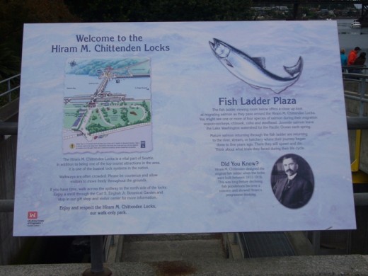 Ballard Locks Fish Ladder Sign