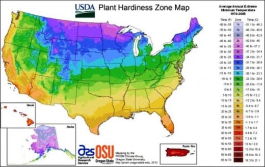 USDA Hardiness Zone Map