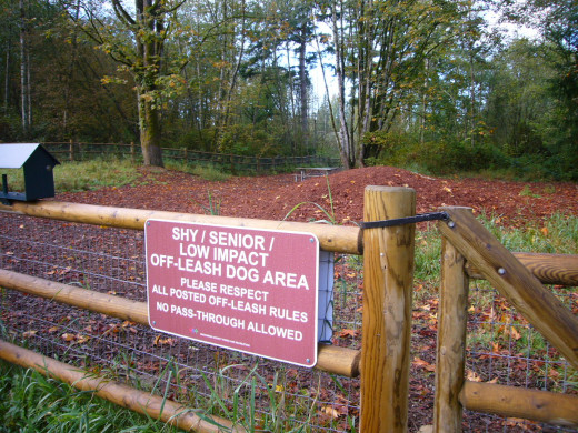 Willis Tucker Dog Park Shy Dog Area