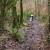 My dogs, Tim and Hank enjoying running through the many interconnected trails.