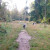 Tim and Skye running the trail along an edge of the meadow area
