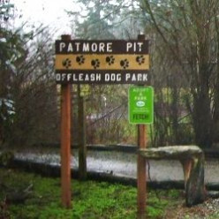 Whidbey Island's Patmore Pit Dog Park