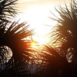 There is Light for those who want to be healthy.