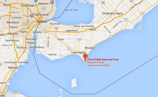 Point Pelee National Park, Ontario, Canada Point Pelee National Park, Ontario, Canada