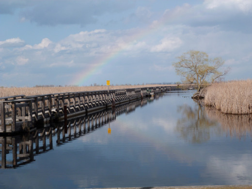 Rainbow and Marsh Boardwalk Rainbow and Marsh Boardwalk