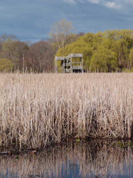 The Marsh Tower. A great place to view birds. The Marsh Tower. A great place to view birds.