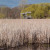 The Marsh Tower. A great place to view birds. The Marsh Tower. A great place to view birds.