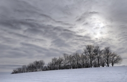 Seasonal affective disorder