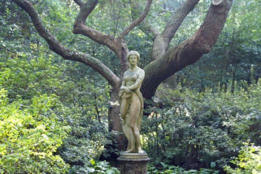 This statue is set off by the unusual looking tree behind it.