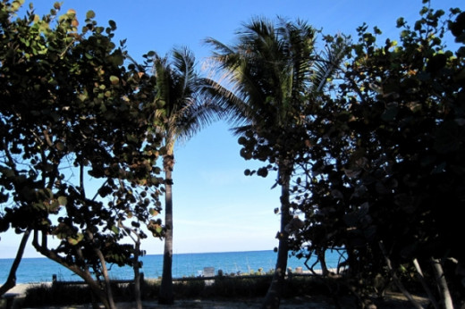 a view of the ocean photo by mbgphoto