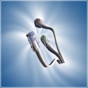 DSL Expert profile image