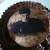 4. Top the cupcake with some melted chocolate and a sexy Jacob cupcake topper!