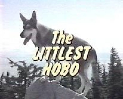 littlest hobo t shirt