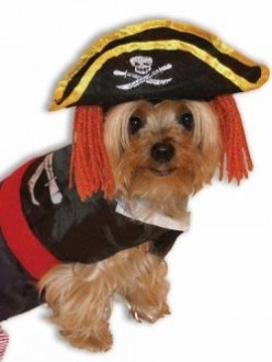 Henry The Pirate Dog