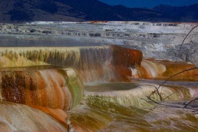 Mammoth hot springs in yellowstone