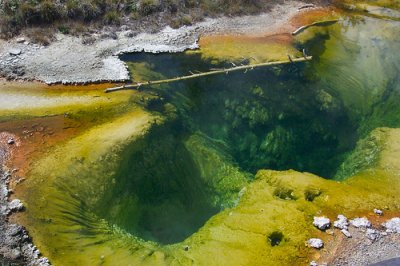 Hot spring pool in Yellowstone