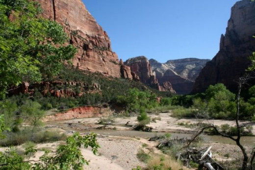 A view of the Virgin River along the trail