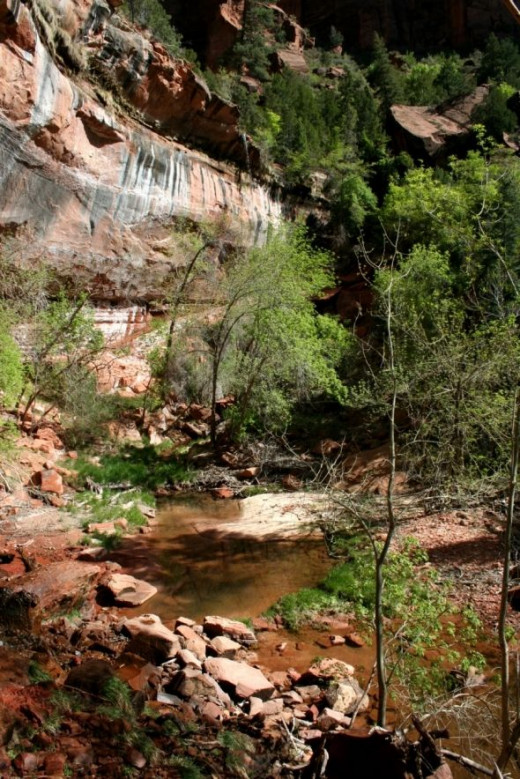 The Lower Emerald Pools at Zion National Park