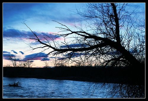 by Photographer Linda Hoxie
