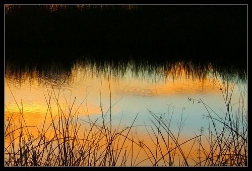 Reflections of a days end
