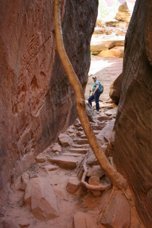 This is the first set of stairs going up
