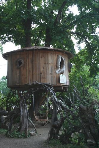 Awesome Tree House