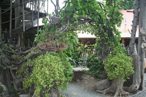 Through the Burly Gates