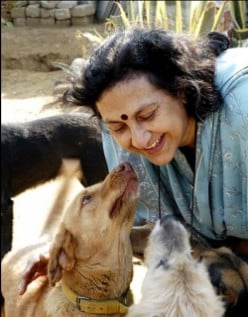 Geeta Seshamani - Savior of India's Animals