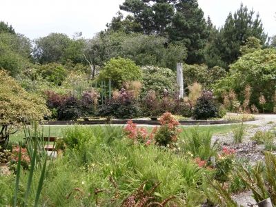 Perennial Garden
