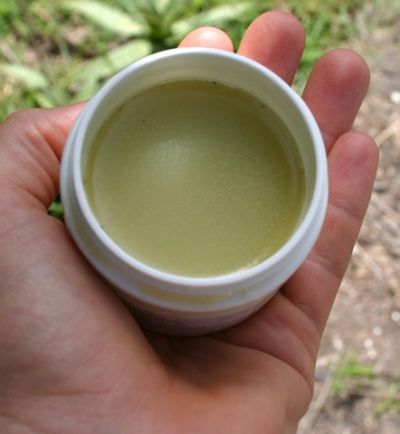 Echinacea Salve
